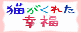 猫がくれた幸福