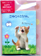 猫柄バースデーカード