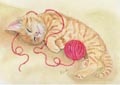毛糸玉を抱いて眠るネコ