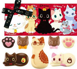 猫ボックス入りチョコレート