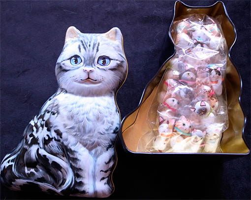 猫のチョコレート