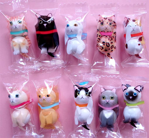 猫のチョコレート