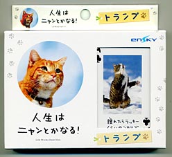 猫のトランプ