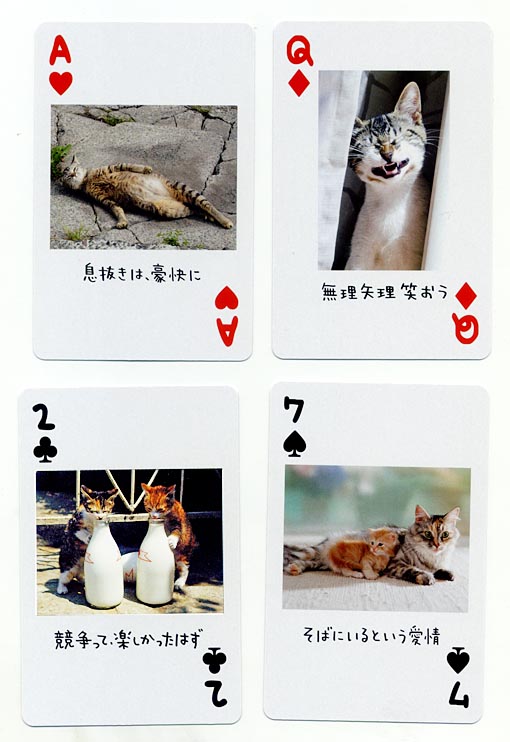 猫のトランプ