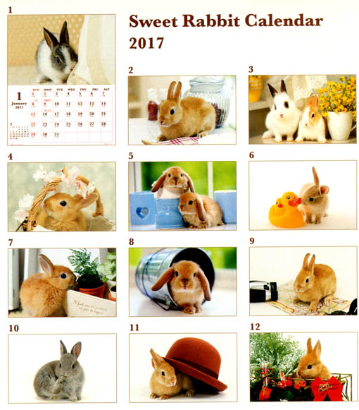 うさぎのカレンダー