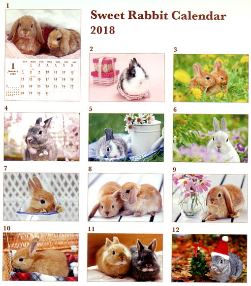 うさぎのカレンダー