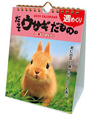 うさぎのカレンダー