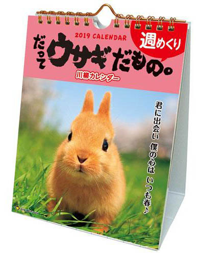 うさぎのカレンダー