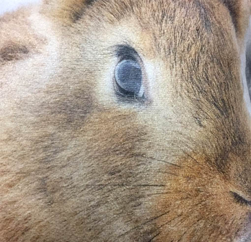 うさぎのクッション